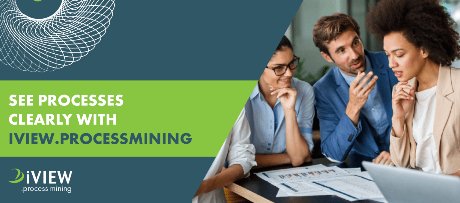 iVIEW Process Mining