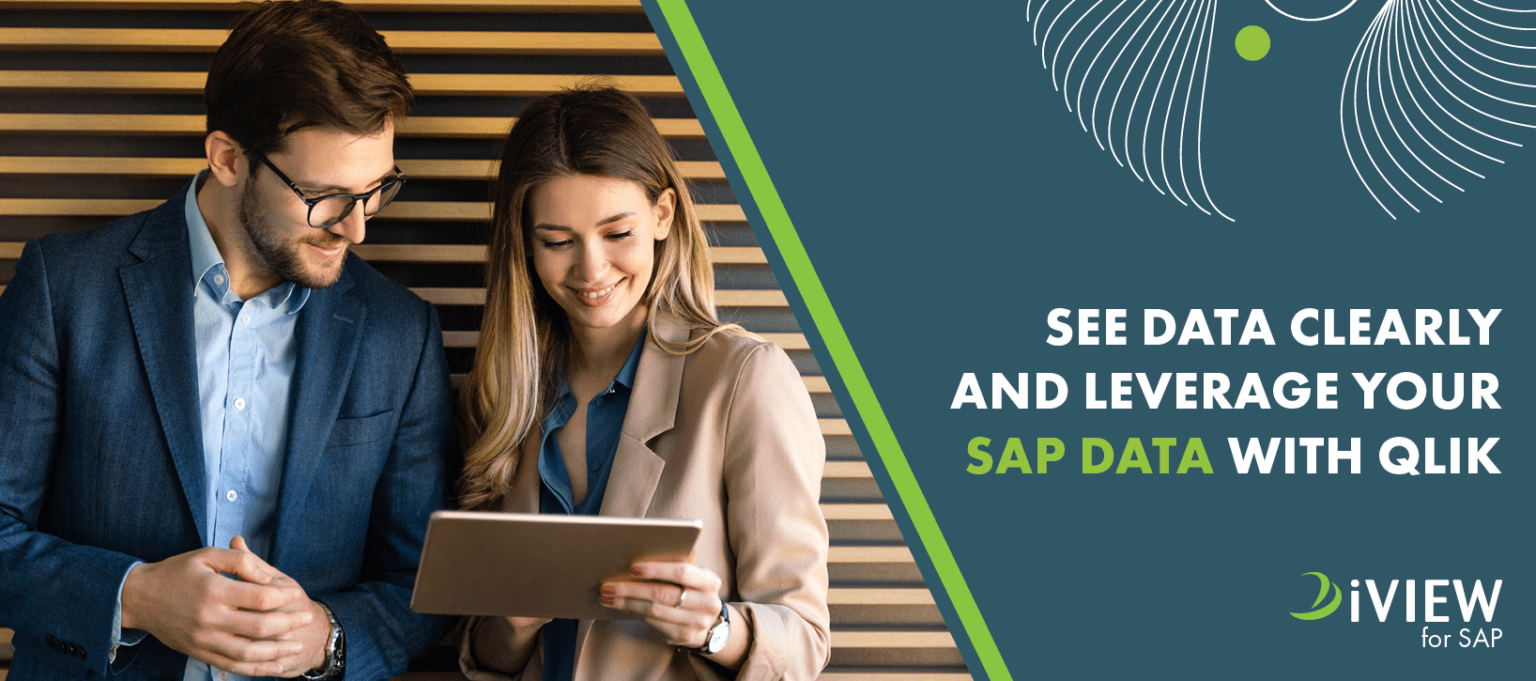 iVIEW for SAP